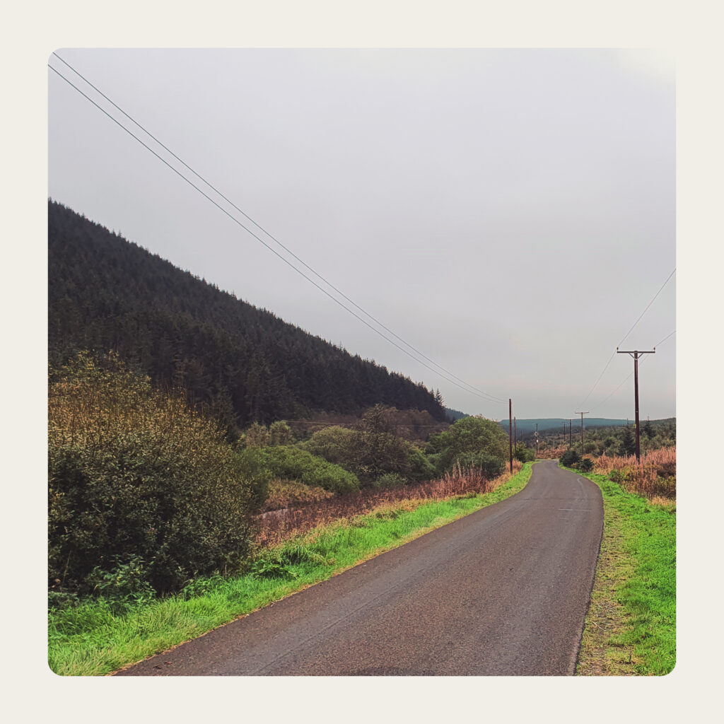 A country road lined with pylons.