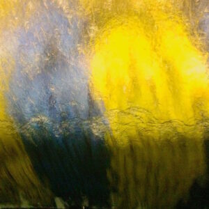 the disruption by slow_the_tape