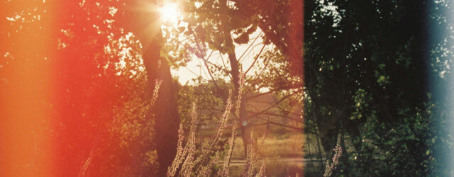 Transitions by Acorn Shed Music