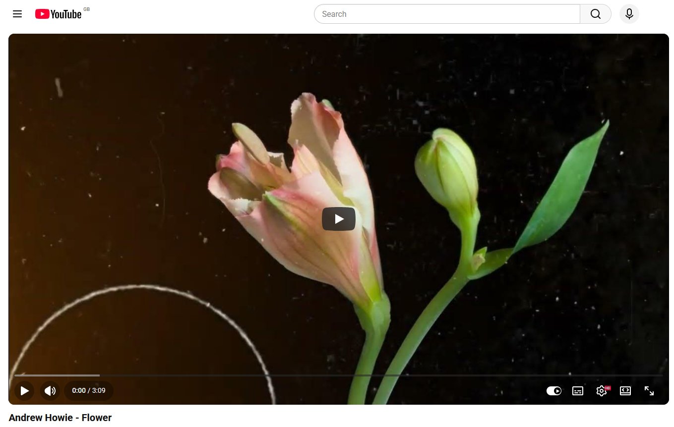 Flower on YouTube